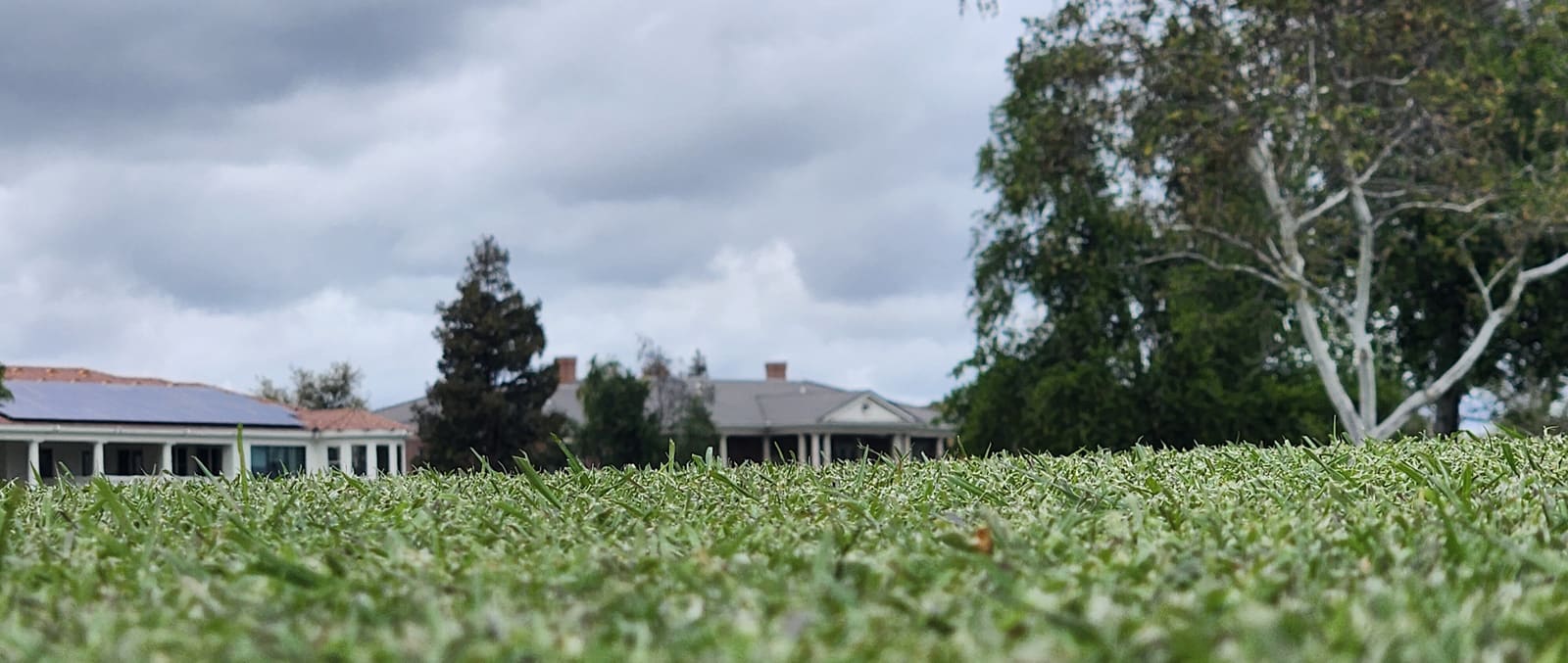 Nanobubbles vs Carbonic Acid for Turf